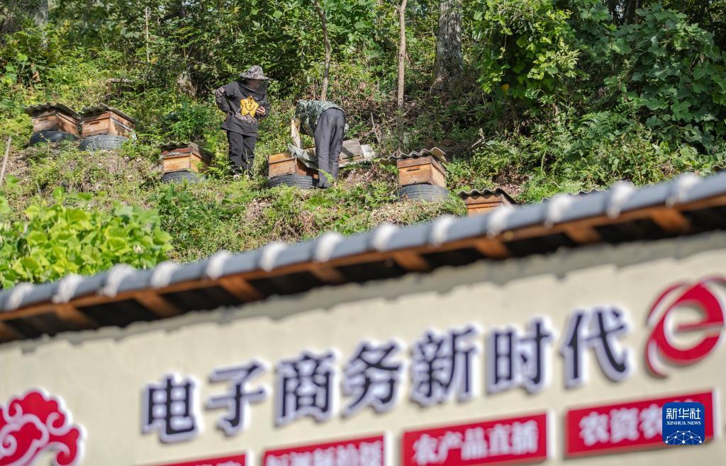 大富豪游戏电脑版